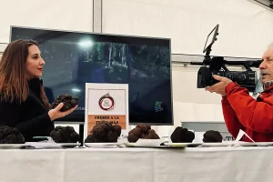 Ferias de trufas